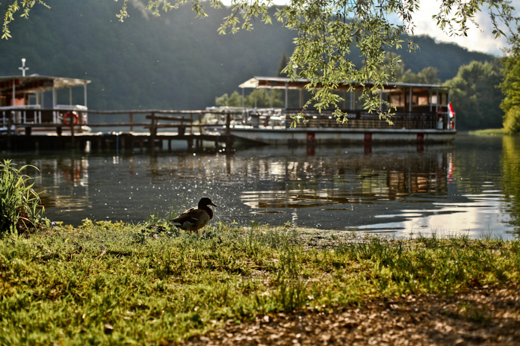 Croatia Photography | Caroline Mitic | Graphic Design