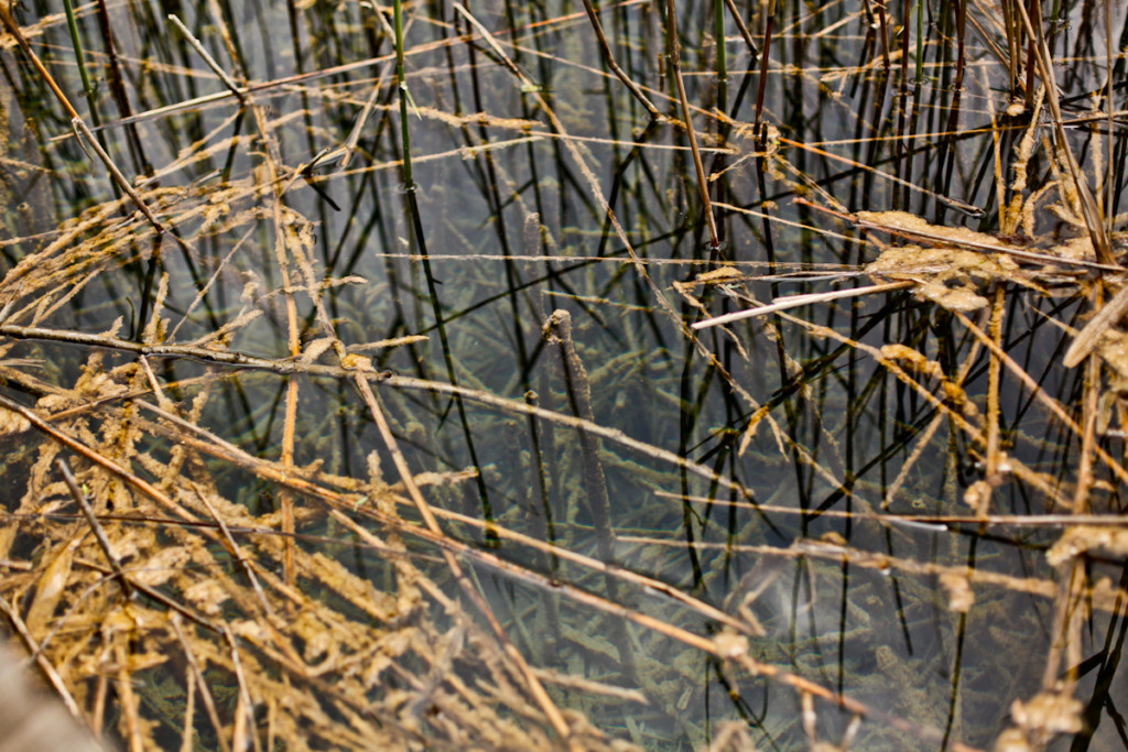 Croatia Photography | Caroline Mitic | Graphic Design