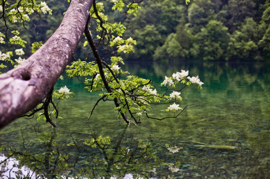 Croatia Photography | Caroline Mitic | Graphic Design