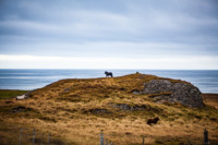 Iceland-lowres (61 of 79)