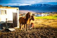 Iceland-lowres (67 of 79)