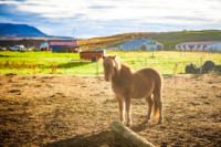 Iceland-lowres (68 of 79)