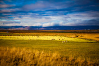 Iceland-lowres (72 of 79)