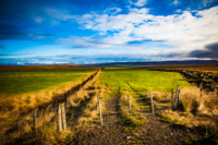 Iceland-lowres (75 of 79)